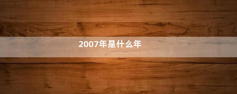 2007年是什么年