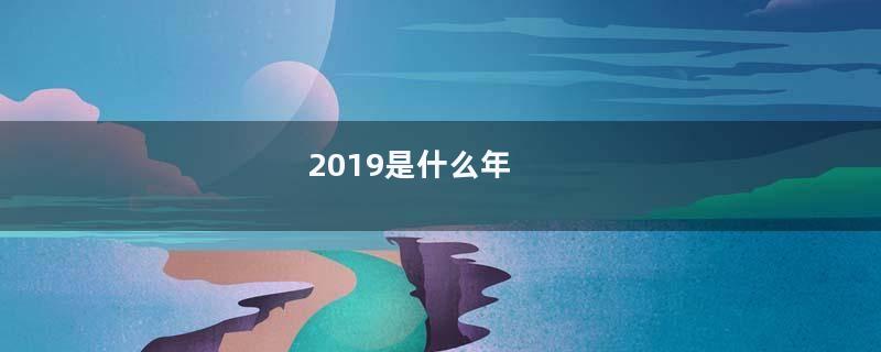 2019是什么年