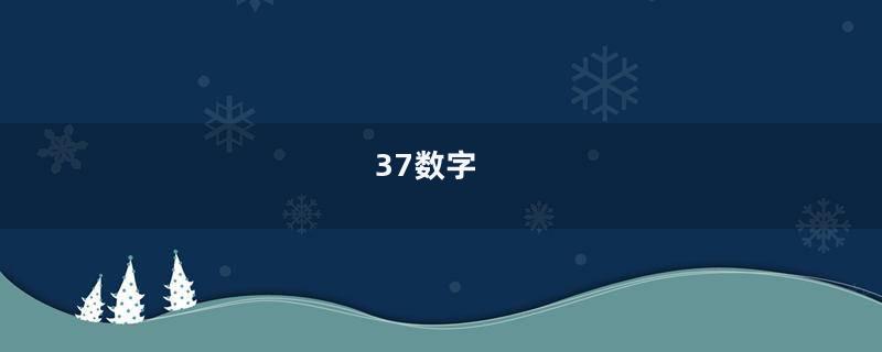 37数字