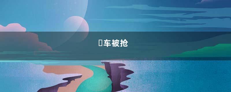 ​车被抢