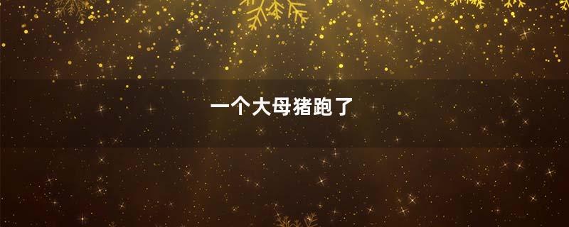 一个大母猪跑了