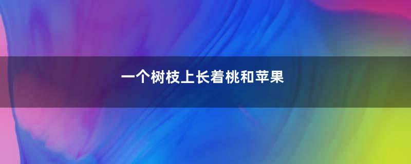 一个树枝上长着桃和苹果