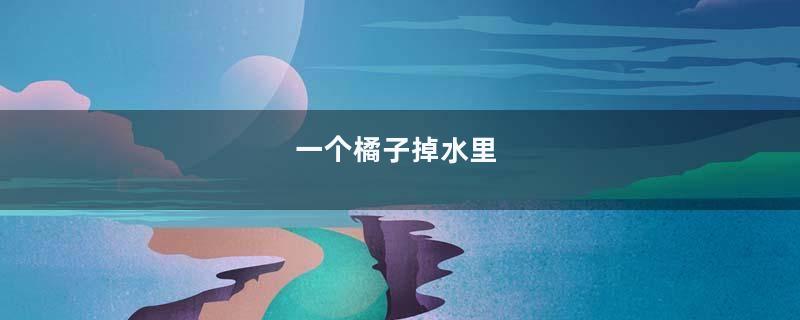 一个橘子掉水里