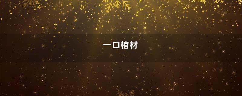 一口棺材