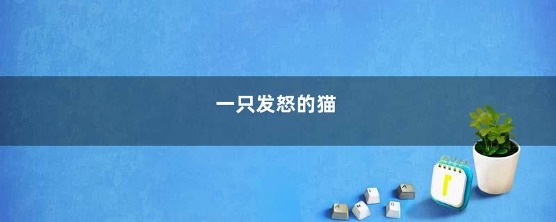 一只发怒的猫