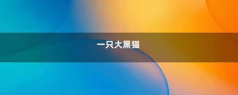 一只大黑猫