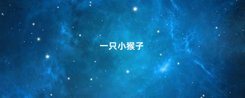 一只小猴子