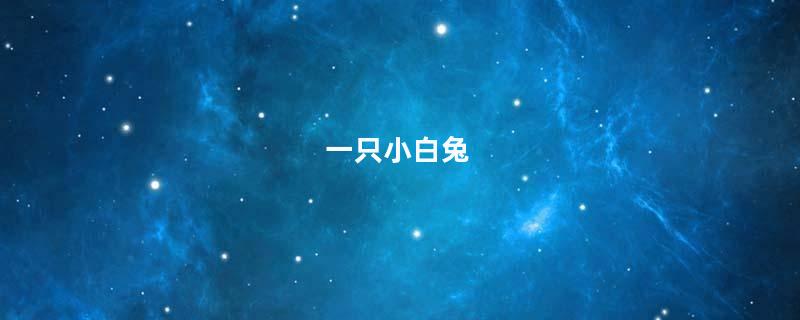 一只小白兔