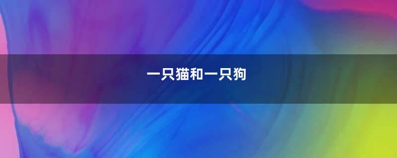 一只猫和一只狗