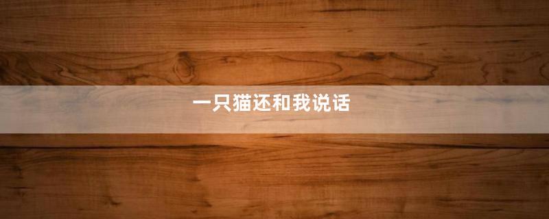一只猫还和我说话