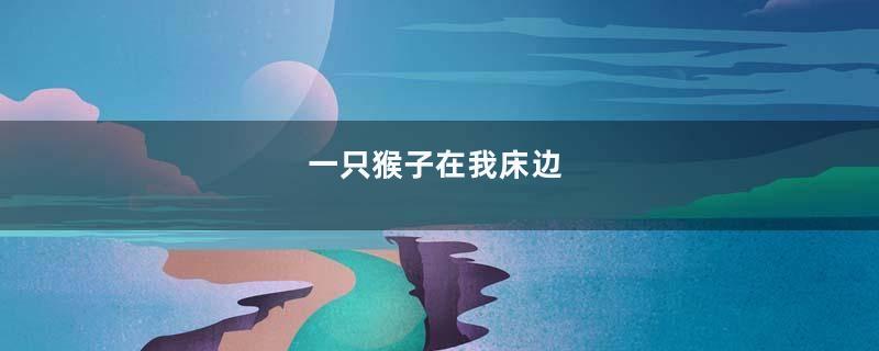 一只猴子在我床边