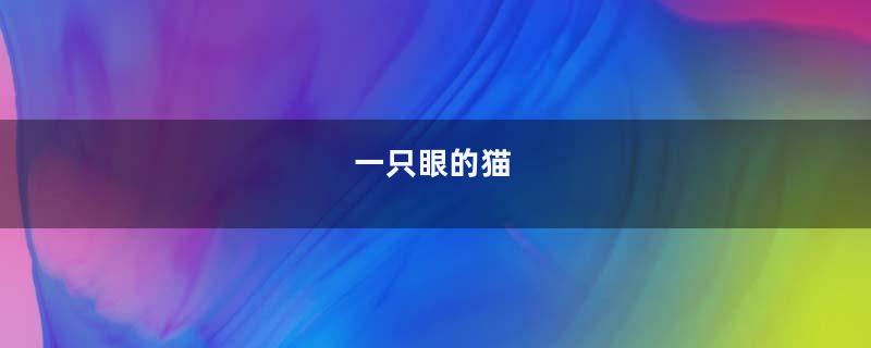 一只眼的猫
