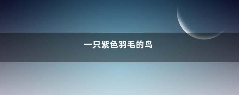 一只紫色羽毛的鸟