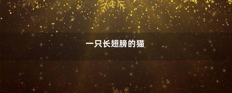 一只长翅膀的猫