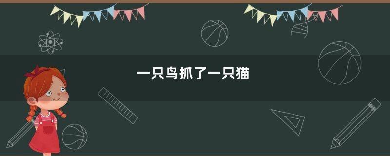 一只鸟抓了一只猫