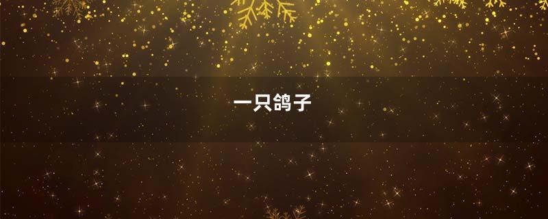 一只鸽子