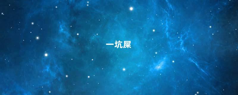 一坑屎