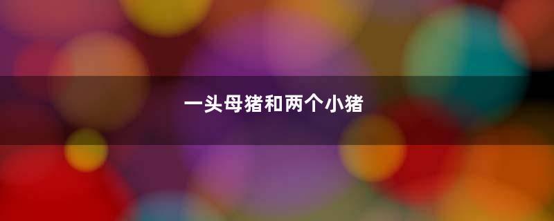 一头母猪和两个小猪