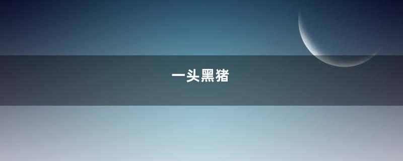 一头黑猪