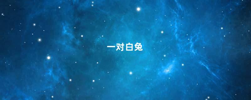 一对白兔