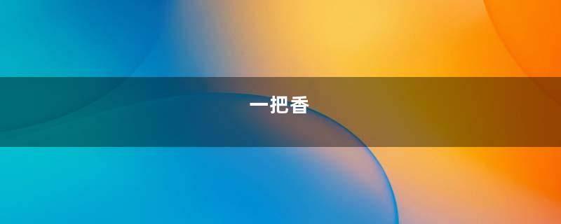 一把香