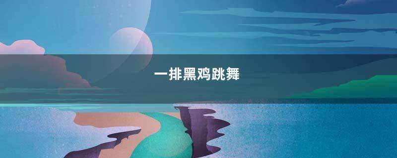 一排黑鸡跳舞