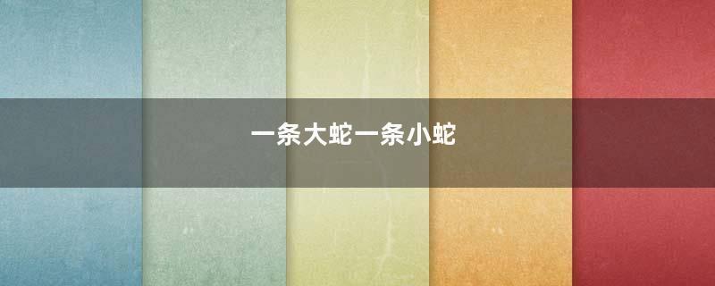 一条大蛇一条小蛇