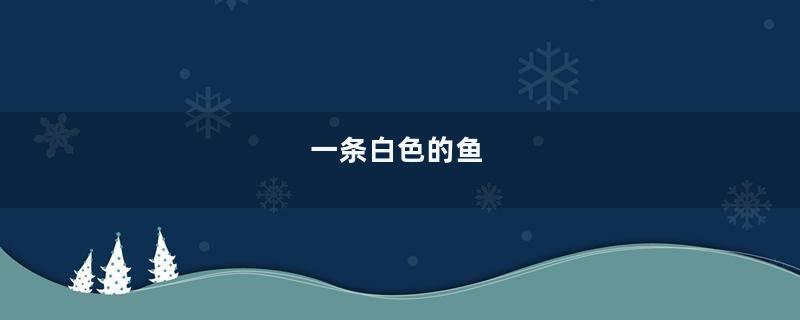 一条白色的鱼