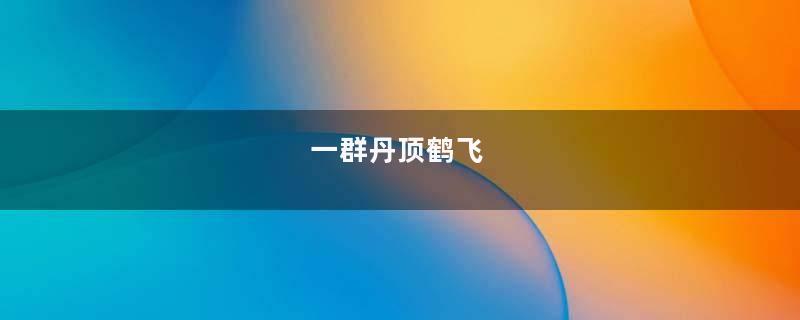 一群丹顶鹤飞