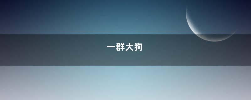 一群大狗