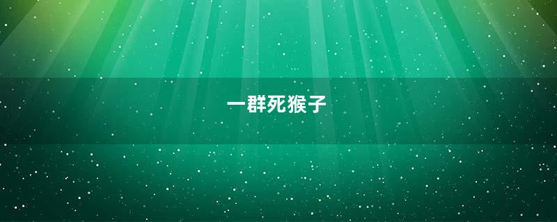 一群死猴子
