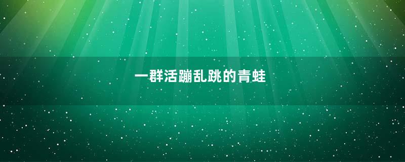 一群活蹦乱跳的青蛙