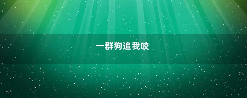 一群狗追我咬