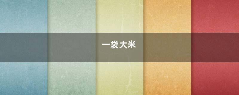 一袋大米