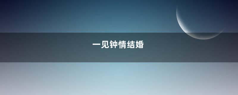 一见钟情结婚