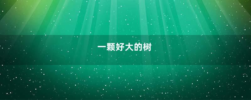 一颗好大的树
