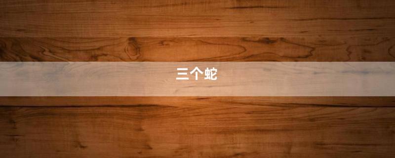 三个蛇