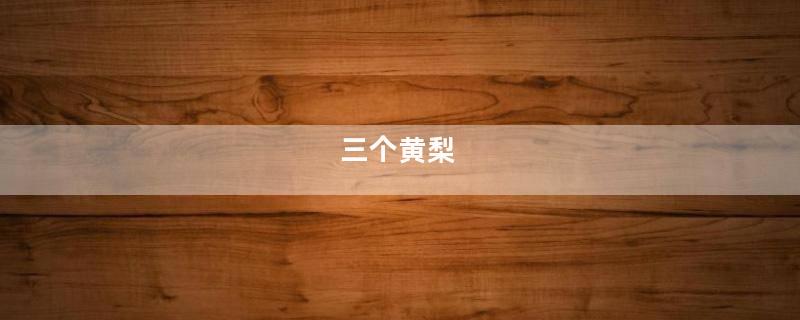 三个黄梨