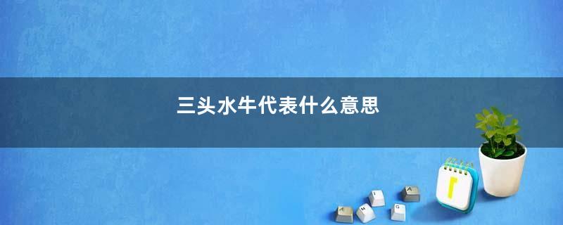 三头水牛代表什么意思