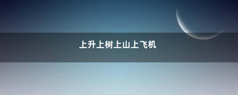 上升上树上山上飞机