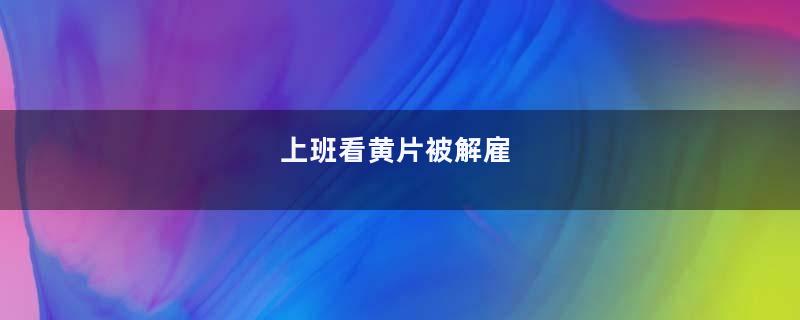 上班看黄片被解雇