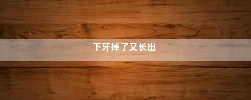 下牙掉了又长出