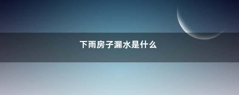 下雨房子漏水是什么