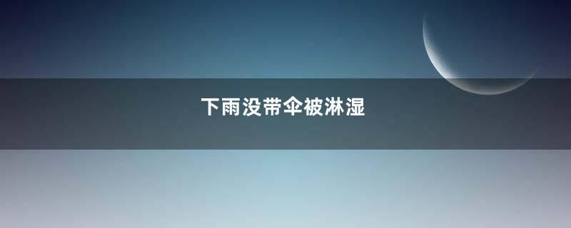 下雨没带伞被淋湿