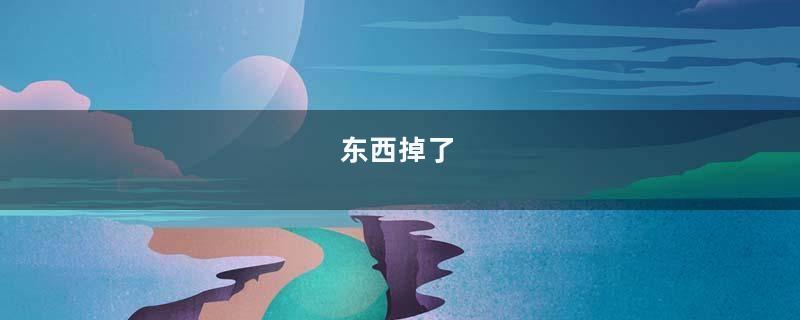 东西掉了