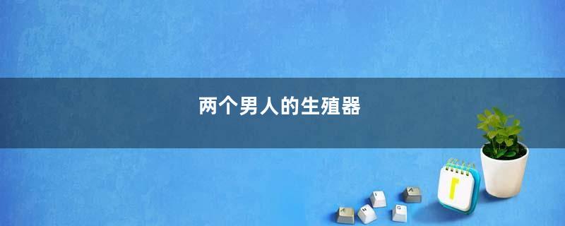 两个男人的生殖器