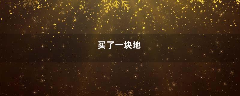 买了一块地
