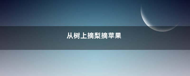 从树上摘梨摘苹果