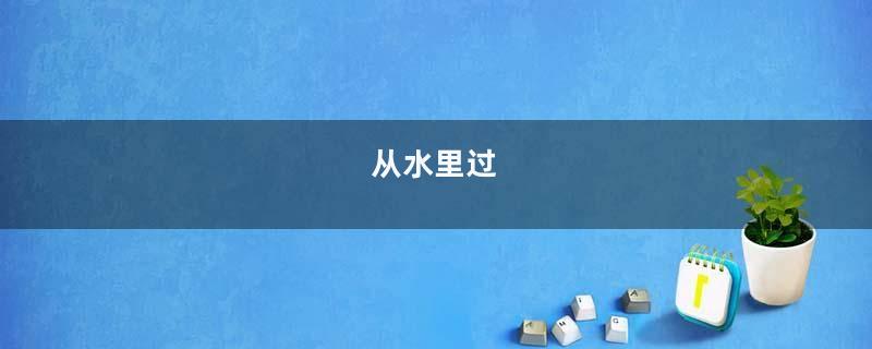 从水里过