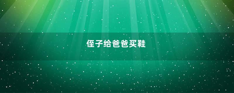侄子给爸爸买鞋